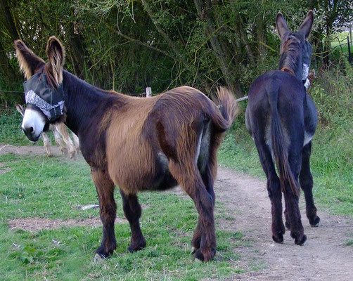 die beiden Jungs bleiben verdutzt stehen und schauen meinen Jungs nach