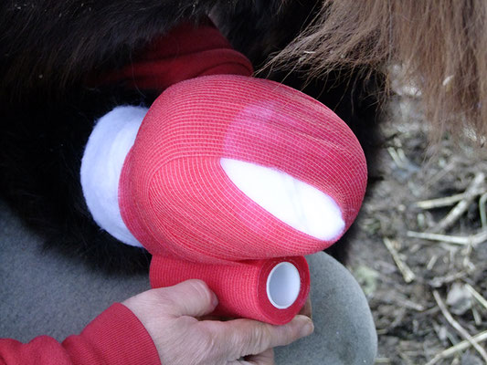 Stretchverband fixiert die Polsterwatte