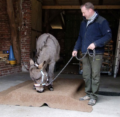 Bei einem Training vor Ort in Niedersachsen - April 2019