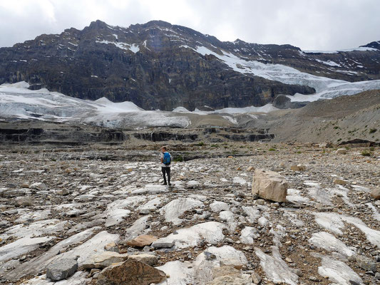 Der Trail zieht sich dann unterhalb der Gletscher auf einer Höhe