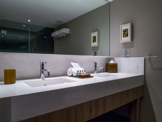 dominion polanco, hoteles en cdmx, hoteles en polanco, los mejores hoteles en cdmx