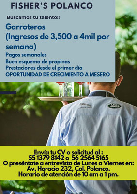bolsa de trabajo en cdmx, ofertas de empleo en cdmx, empleos cdmx, trabajos en ciudad de mexico