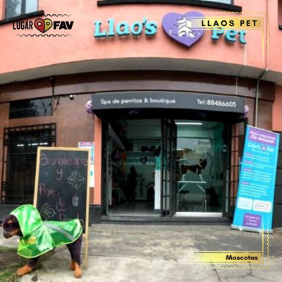 llaos pet, llaos pet mascotas, lugares de mascotas en cdmx