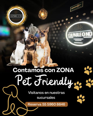 lugares pet friendly en cdmx, los mejores lugares pet friendly en cdmx, pet friendly places in mexico city, pet friendly, lugares pet friendly, lugares para ir con mascotas, lugares para ir con mascotas en cdmx