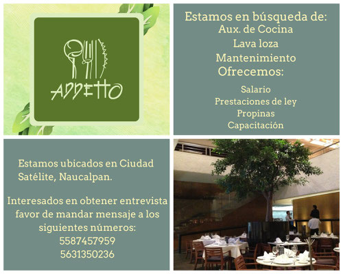 bolsa de trabajo en cdmx, ofertas de empleo en cdmx, empleos cdmx, trabajos en ciudad de mexico