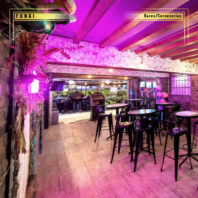fungi, fungi bar condesa, bares en condesa, bares en cdmx