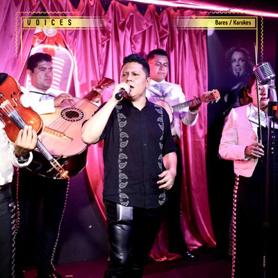 voices, voices karaoke, karaokes en cdmx, karaokes en napoles, karaokes cdmx, bares con karaoke en cdmx