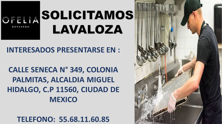 bolsa de trabajo en cdmx, ofertas de empleo en cdmx, empleos cdmx, trabajos en ciudad de mexico