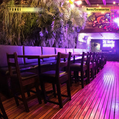fungi, fungi bar condesa, bares en condesa, bares en cdmx