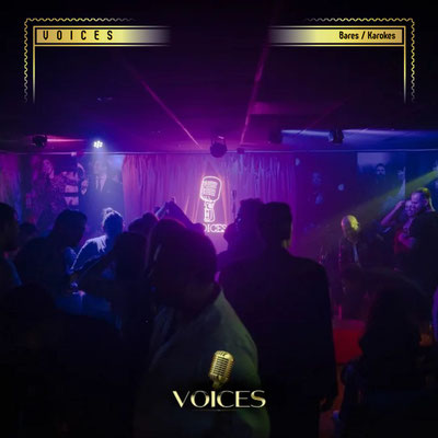 voices, voices karaoke, karaokes en cdmx, karaokes en napoles, karaokes cdmx, bares con karaoke en cdmx
