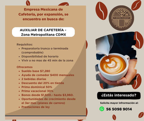 bolsa de trabajo en cdmx, ofertas de empleo en cdmx, empleos cdmx, trabajos en ciudad de mexico