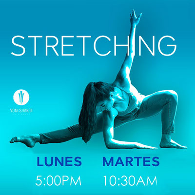 yoni shakti, pole dance mexico, clases de streaching