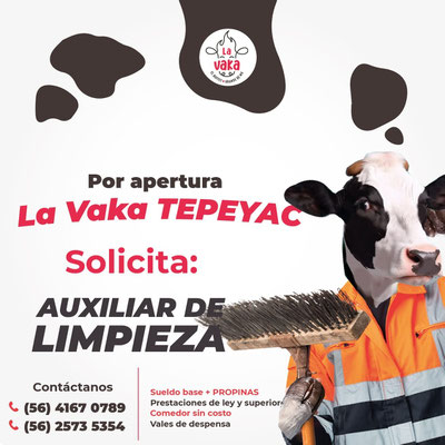 bolsa de trabajo en cdmx, ofertas de empleo en cdmx, empleos cdmx, trabajos en ciudad de mexico
