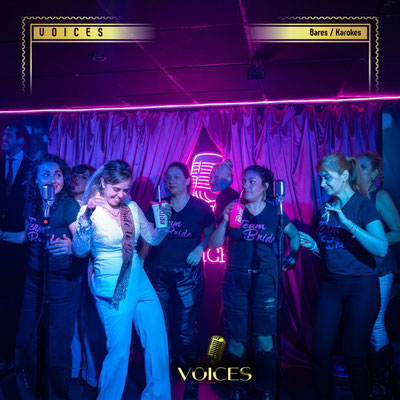 voices, voices karaoke, karaokes en cdmx, karaokes en napoles, karaokes cdmx, bares con karaoke en cdmx