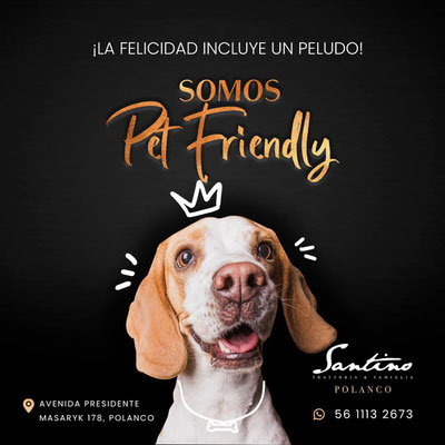 lugares pet friendly en cdmx, los mejores lugares pet friendly en cdmx, pet friendly places in mexico city, pet friendly, lugares pet friendly, lugares para ir con mascotas, lugares para ir con mascotas en cdmx