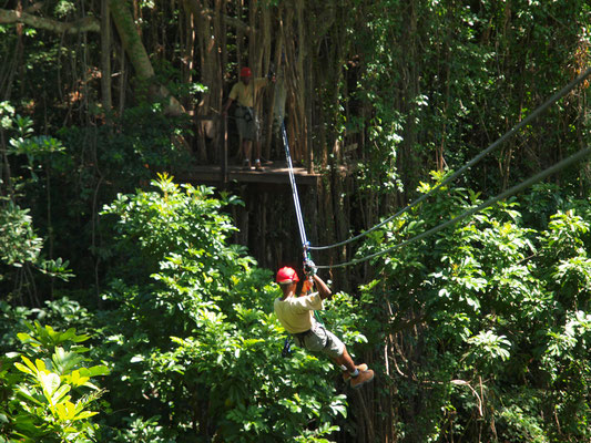 St. Hamas, Aerial Trek