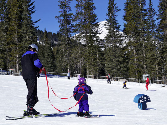 Banff, Skigebiet Norquay, Ski-Minis