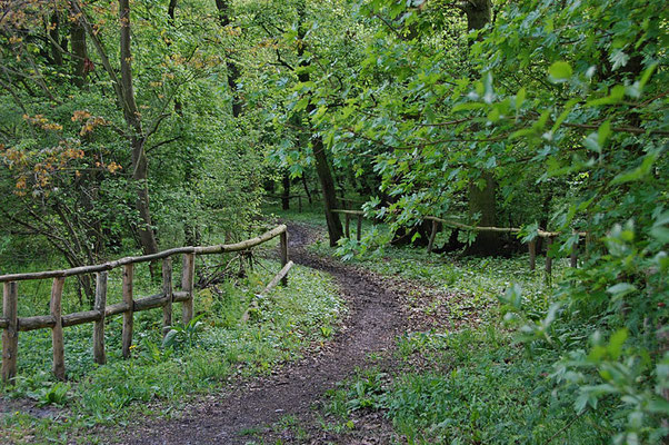 Reitweg Mai 2010