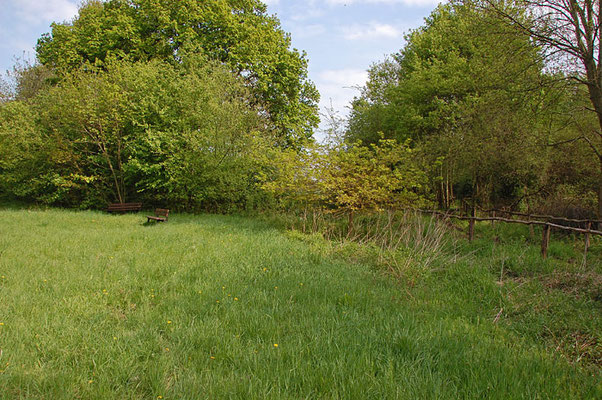 Rund-Reitweg Mai 2010