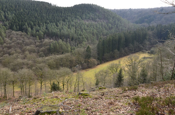 Vue hivernale de la vallée du Ninglinspo avec au centre le Bain d'Hermès