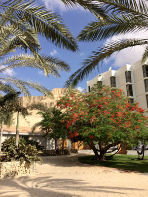 Innenhof, Hotel Oasis