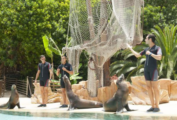 Jungle Park
