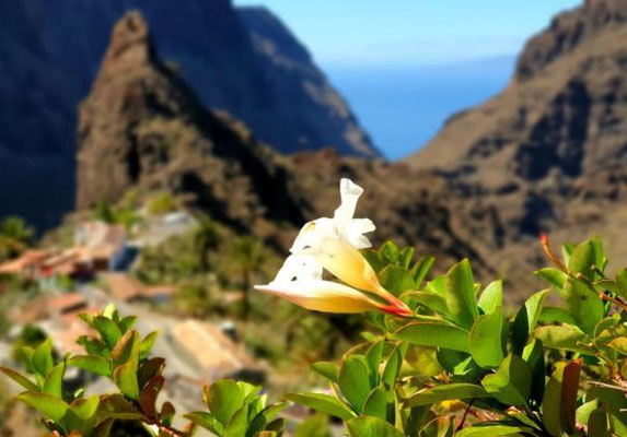 Masca