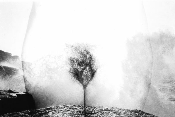 Human Landscape III / FineArt behind Acrylic Glass / 75x50cm / Limited Edition 