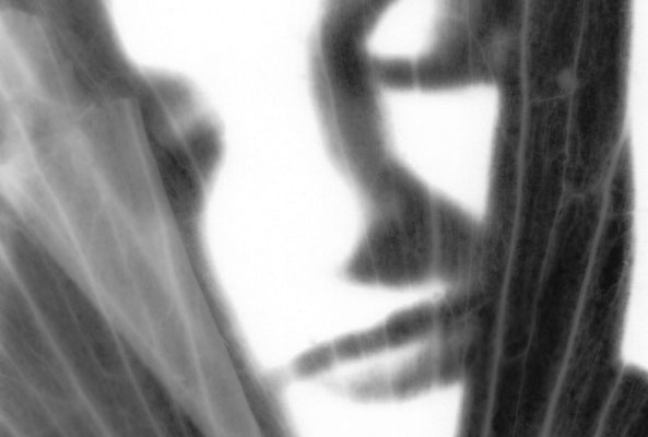 Silence / FineArt behind Acrylic glass / 75x50cm / Limited Edition 