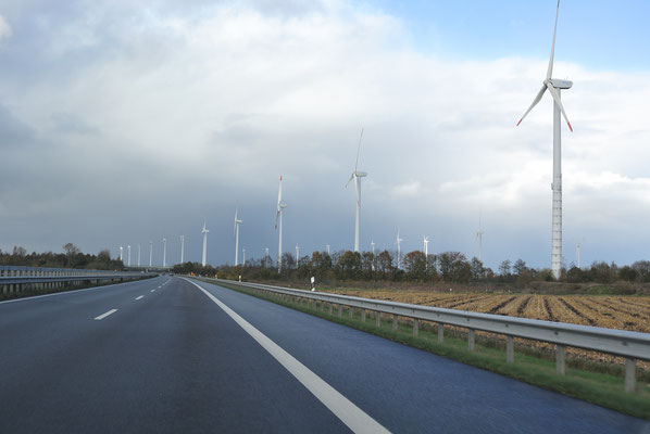 Anfahrt kurz vor Emden, wir fahren durch einen Windmühlenwald