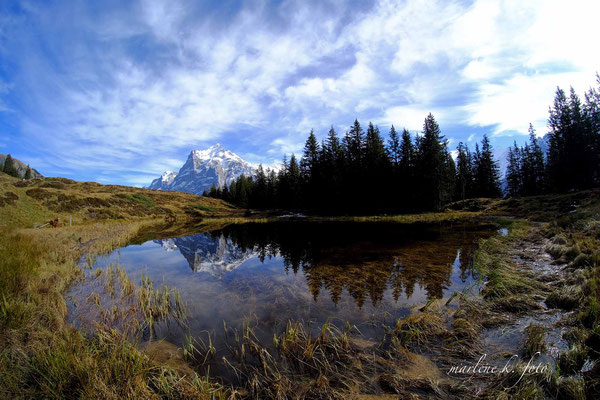 Wetterhorn