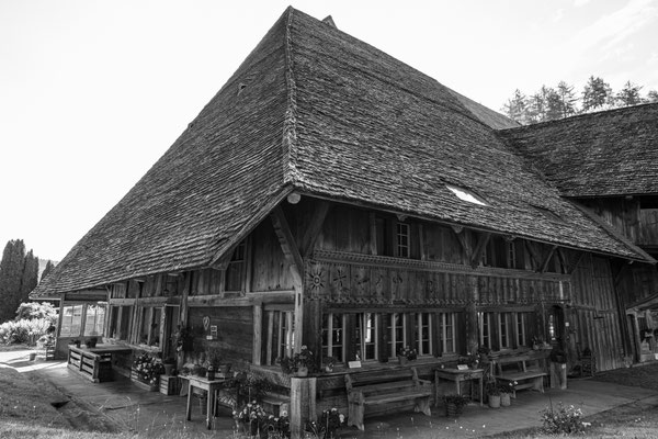 Dagmar