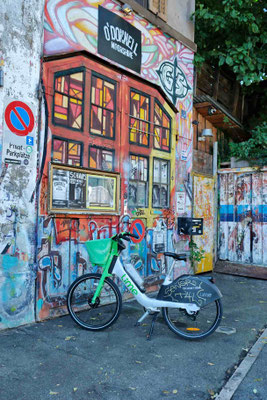 Rebecca
