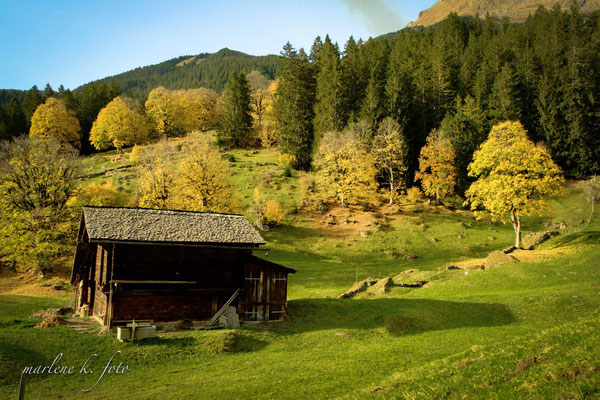 Herbststimmung