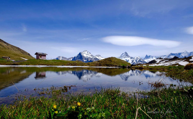 Bachalspsee Sommer