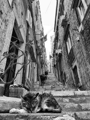 Dubrovnik