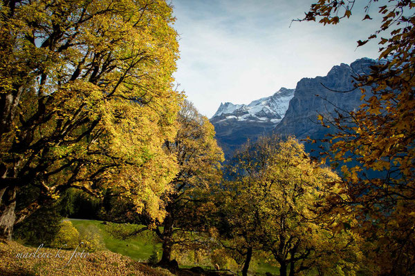 Herbststimmung