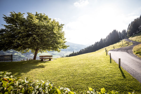 LindenBaum KandlerAlm