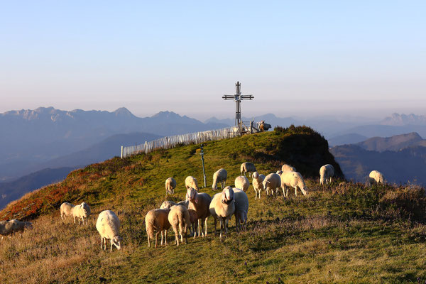 Traumhafte Stimmung am Frauenkogel