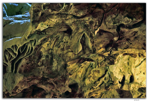 CW0048.Hato Cave.Laughing Donkey