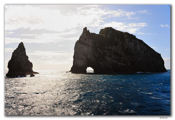 NZ0148.Bay of Islands.Motukokako.Hole in the Rock