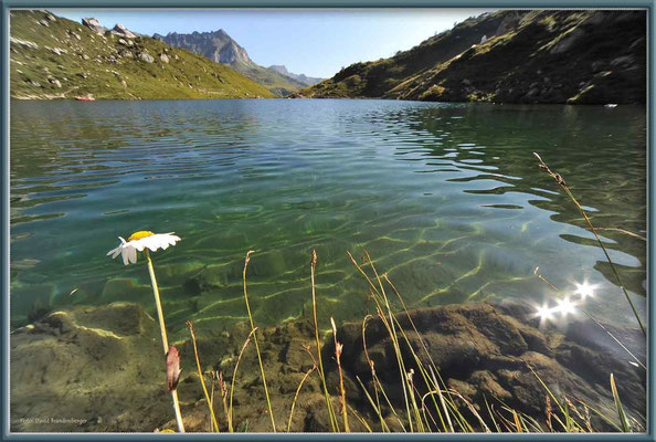 A0398.Margarite.Partnunsee.CH