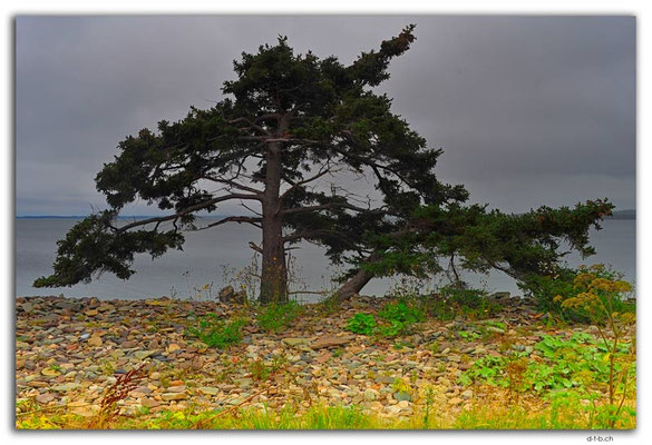 CA1284.Battery P.P.Tree