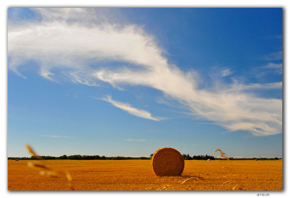 CA0776.Stettler.Farmland