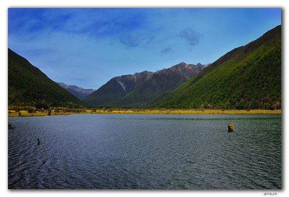NZ0644.Nelson Lakes N.P..Lake Rotoiti upper End