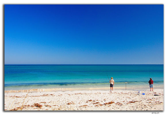 AU0570.Sandy Cape.Fischer