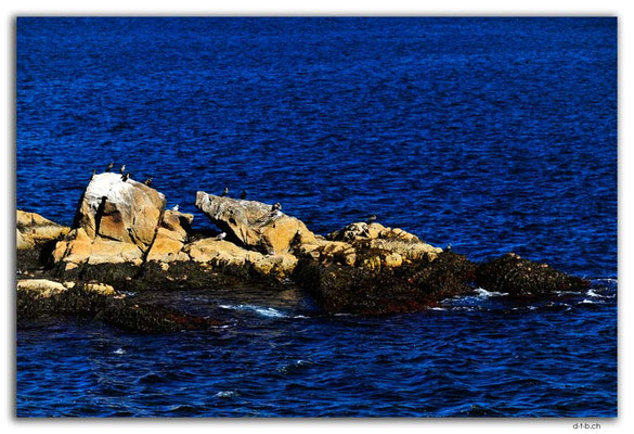CA1308.Halifax.Herring Cove