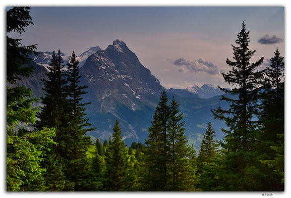 GW0536.Eiger