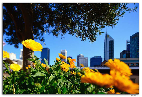 AU0638.Perth Zentrum