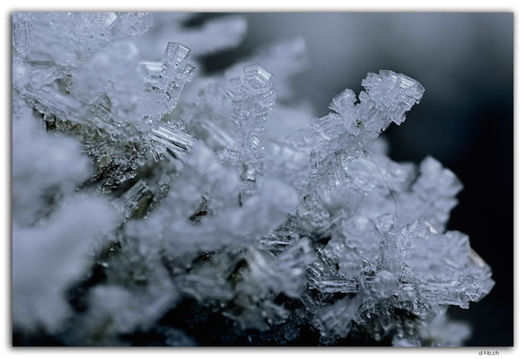 GW0598.Eiskristalle
